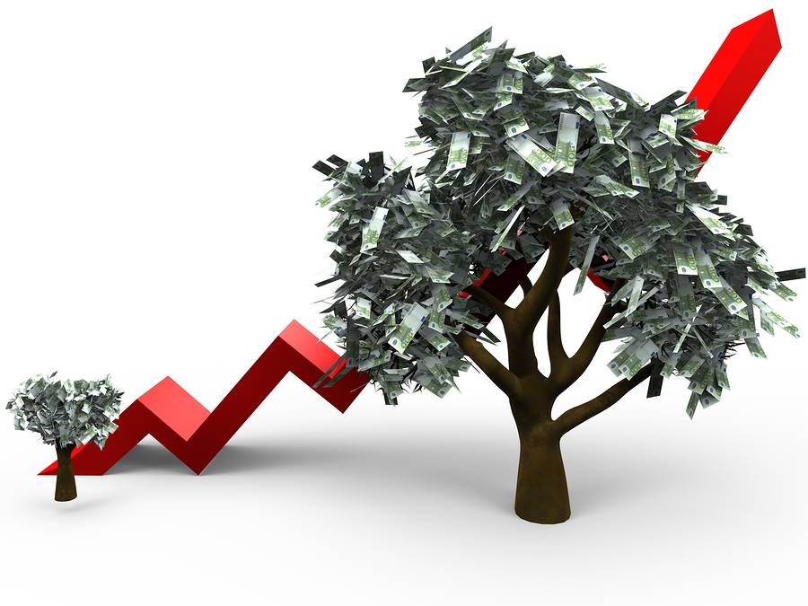 bigstock-Growth-Of-A-Money-Tree-5496866
